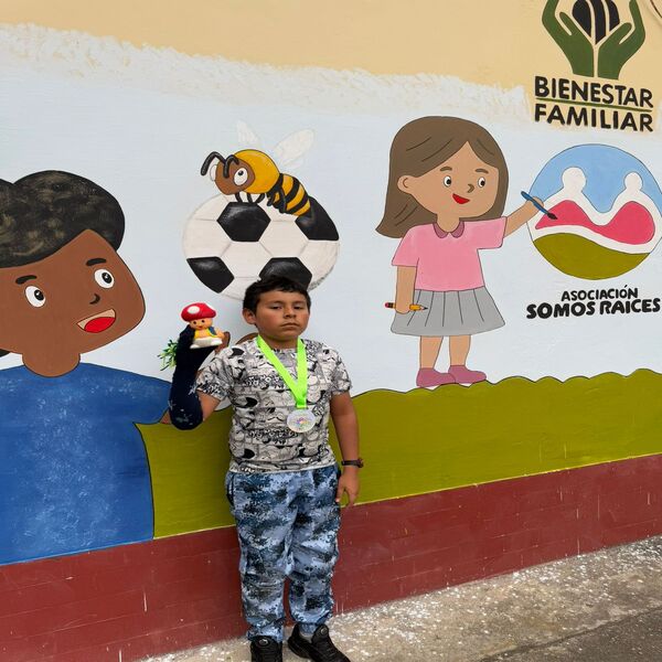 Asesoría para la creación de proyectos